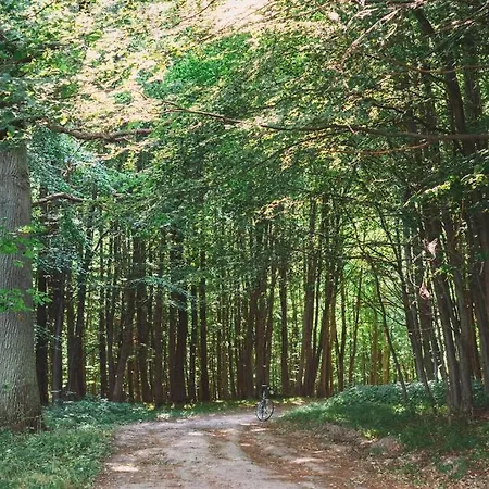 Apartamento Frejas Sal