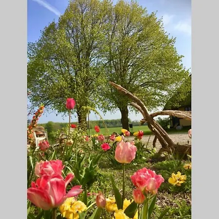 Frejas Sal Apartamento *