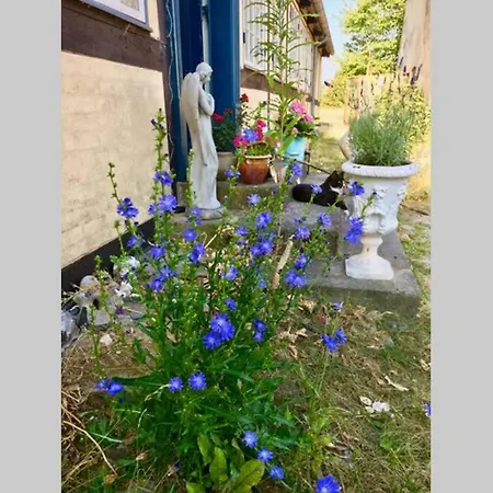 Apartamento Frejas Sal *