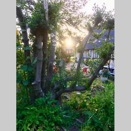 Frejas Sal * Tranekær